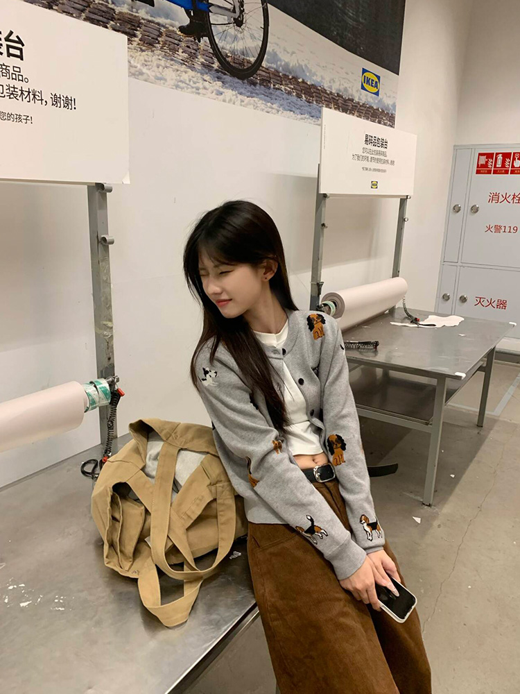 2025 American Vintage Dog Embroidery Knitted Cardigan Sweater for Women, Slimming Autumn Short Jacket, Cozy Y2K Style 2025 American Vintage Dog Embroidery Knitted Cardigan Sweater for Women, Slimming Autumn Short Jacket, Cozy Y2K Style