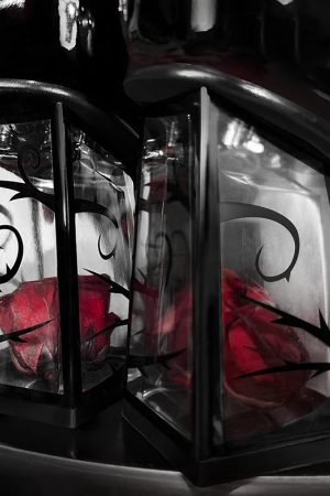 Quick Outfits, Modest Fashion Outfits Ideas Goth Rose Mary Jane High Heels