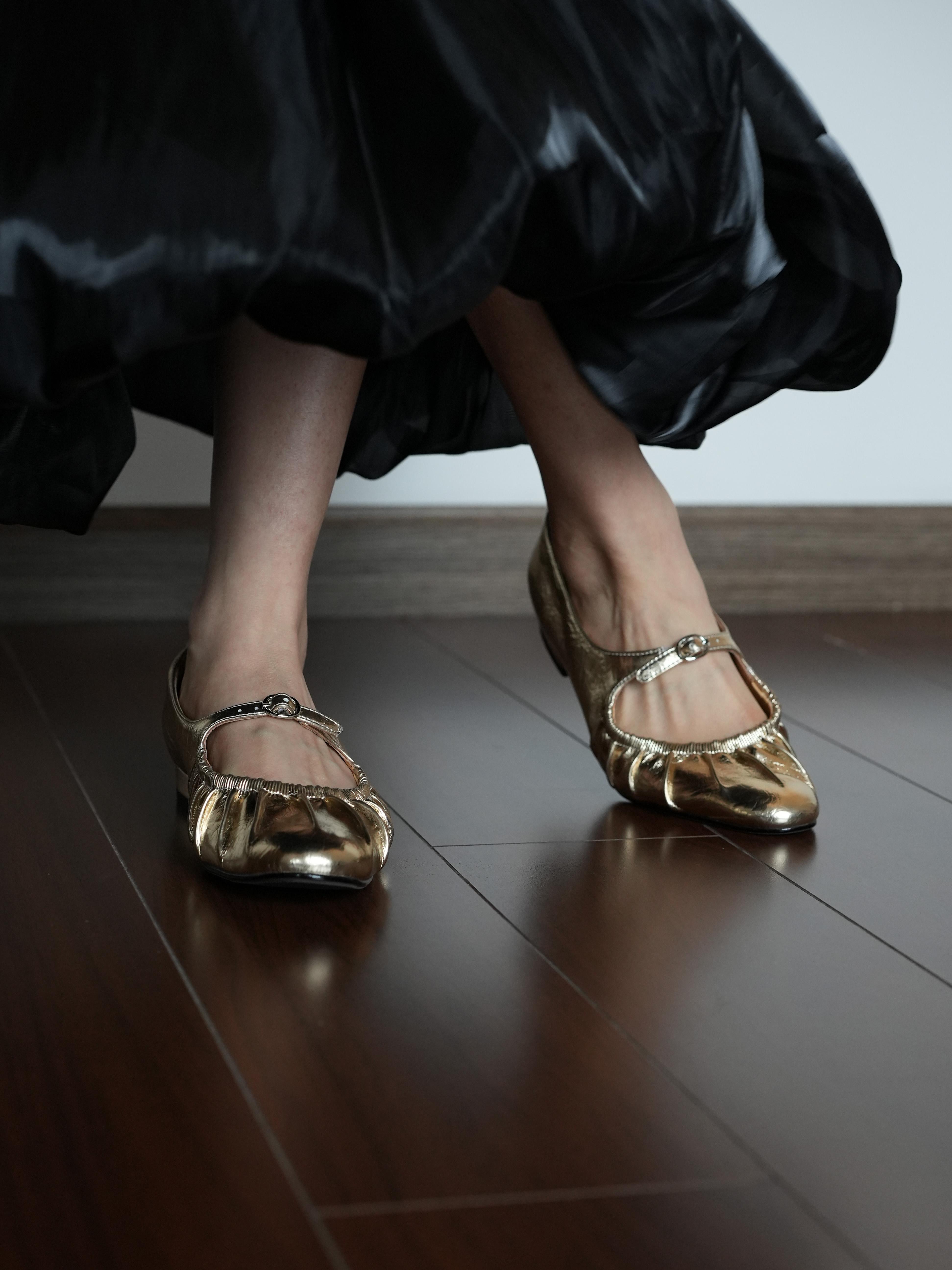 Silver Mary Jane Flats for Women, Round Toe Ballet Shoes, Low Heel, Spring Style, Gold Accents, Trendy Shallow Mouth Design