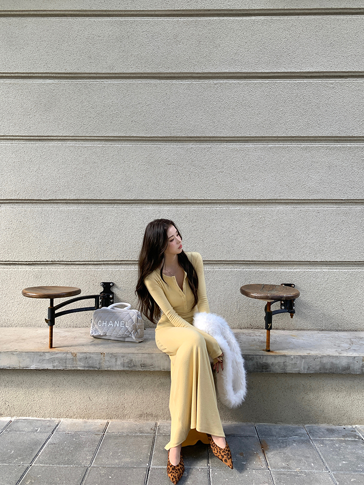 Women's High-End Long Sleeve Waist-Defining Slimming Dress - Autumn Winter Fashion, Elegant Long Skirt