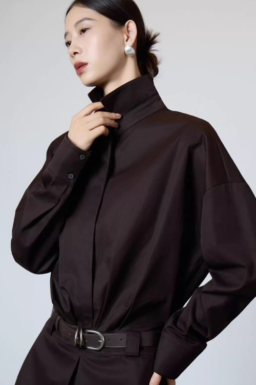 Brown Shirt Dress