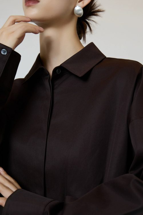Brown Shirt Dress