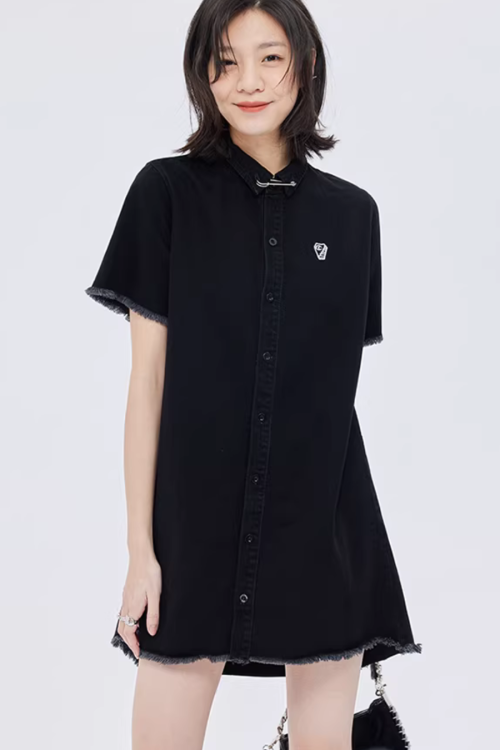 Polo Collar Embroidered Shirt Dress