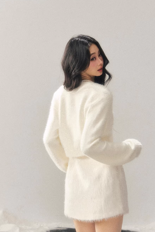 Rose Motif French Mini Dress