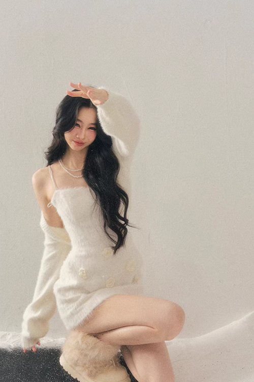 Rose Motif French Mini Dress