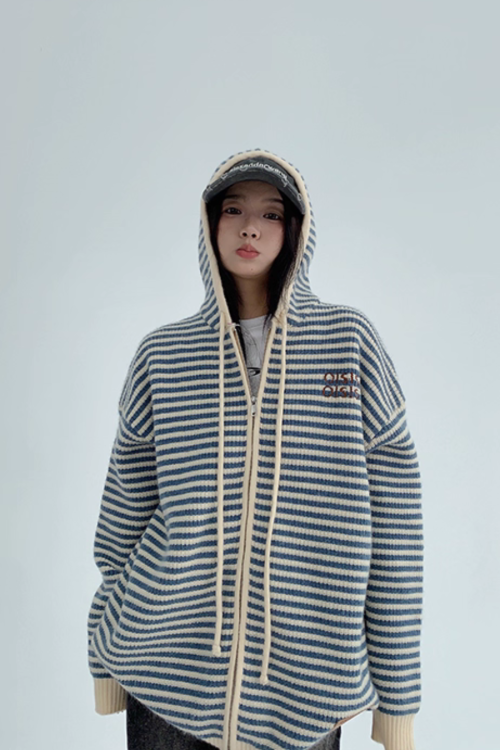 Stripe Relaxed Knit Hoodie
