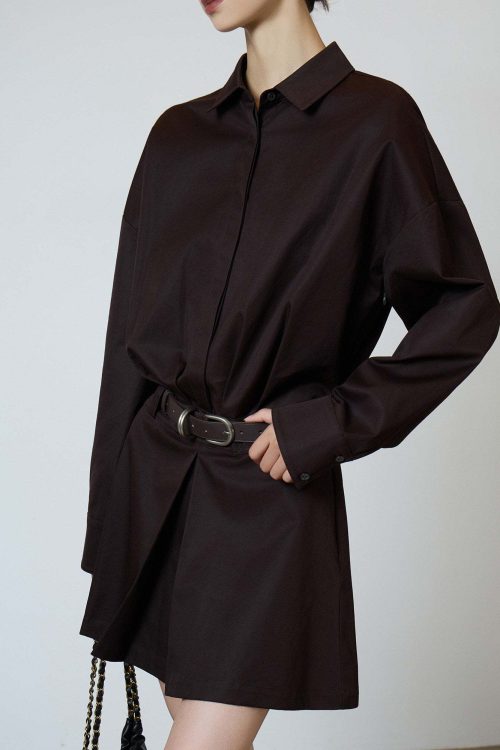 Vintage Brown Shirt Dress