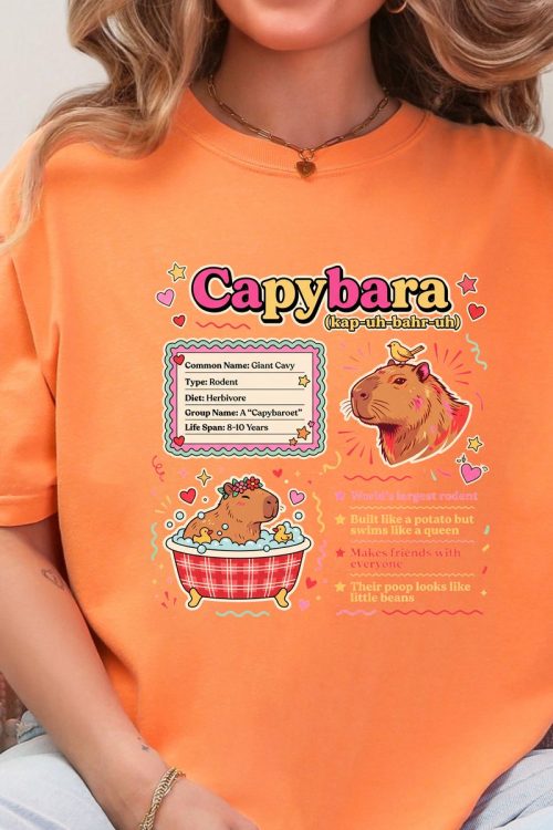 Style Style Collection & Trends