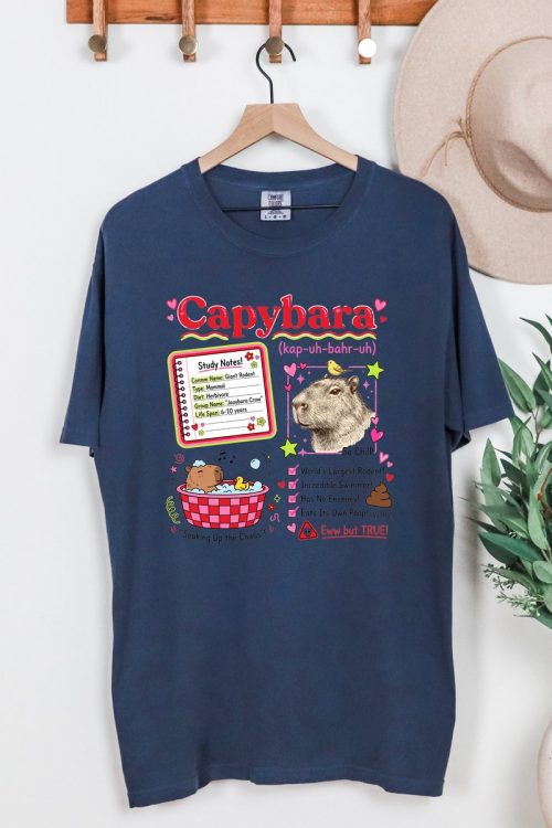 Quality Style Collection & Trends