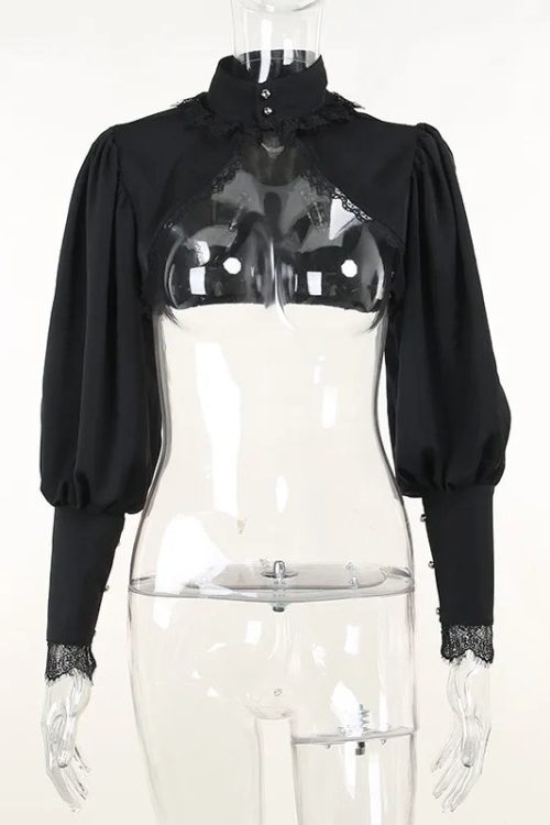 Visual Kei Gothic Lace & Mesh Crop Top and Skirt Set