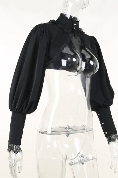 Visual Kei Gothic Lace & Mesh Crop Top and Skirt Set