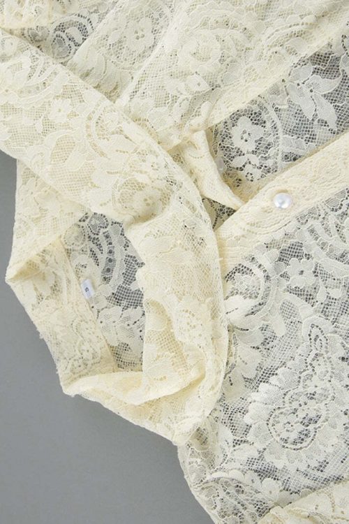Elegant Tie Sheer Lace Long Sleeve Blouse