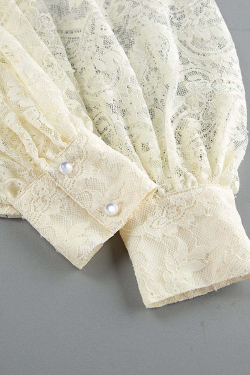 Elegant Tie Sheer Lace Long Sleeve Blouse