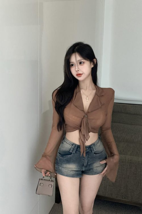 erica-solid-color-french-sweet-lace-up-long-sleeved-cropped-thin-sheer-top-11