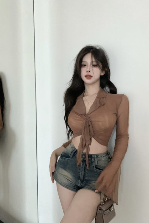 erica-solid-color-french-sweet-lace-up-long-sleeved-cropped-thin-sheer-top-15