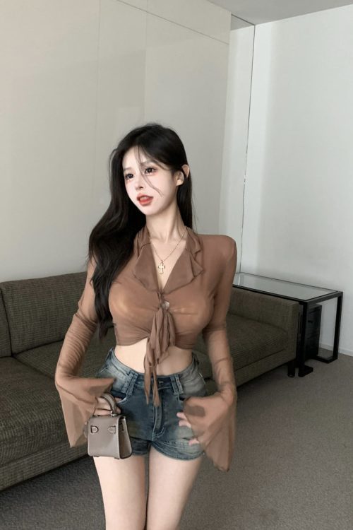 erica-solid-color-french-sweet-lace-up-long-sleeved-cropped-thin-sheer-top-16