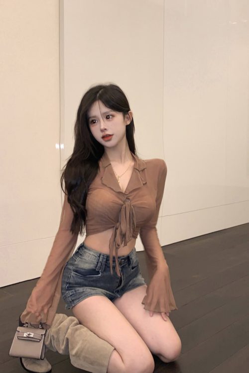 erica-solid-color-french-sweet-lace-up-long-sleeved-cropped-thin-sheer-top-7