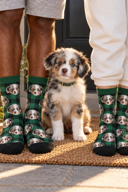 Two people on a doormat in green plaid face socks, an Aussie puppy between them