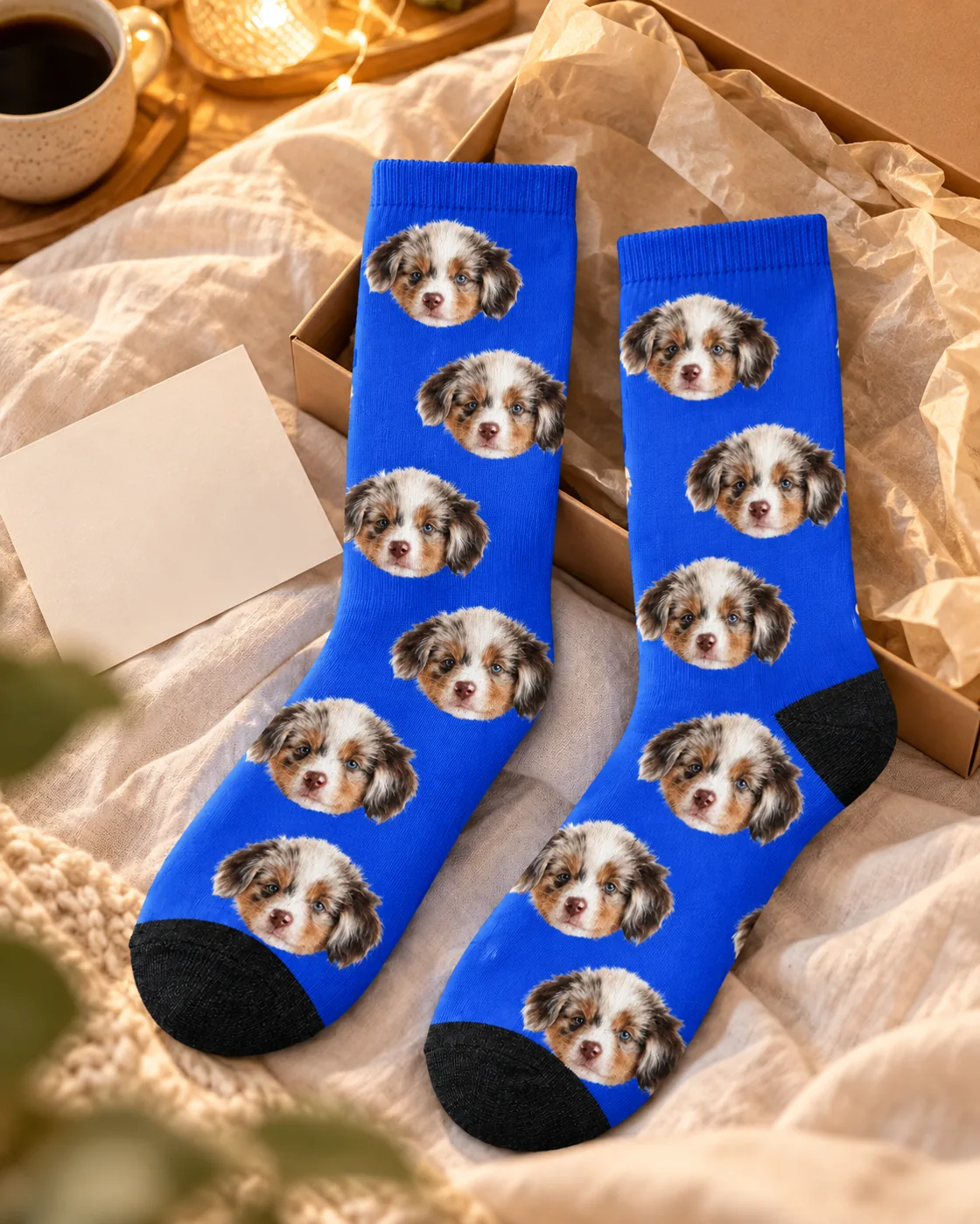 Royal blue socks printed with puppy dog faces laid in a gift box with tissue paper