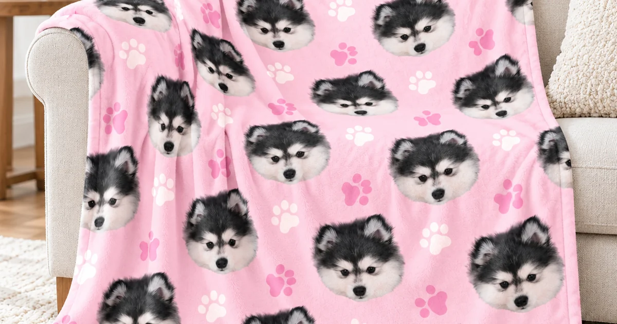 Pink minky pet blanket printed with a husky's face, draped over a sofa