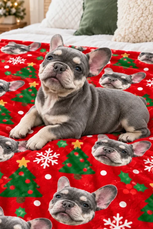 French bulldog lying on a blanket printed with its own face