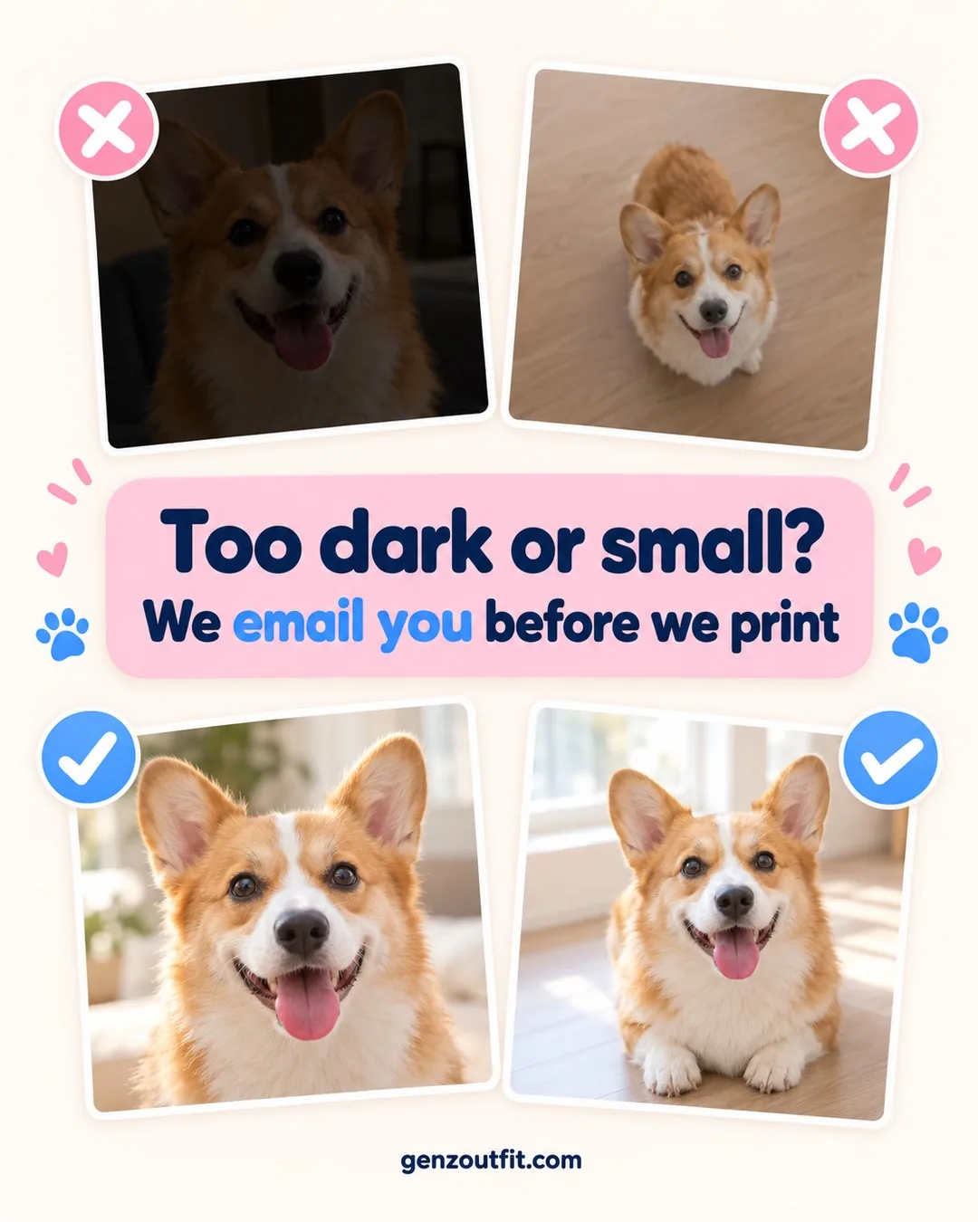 Pet photo guide: dark and far-away corgi photos rejected, two bright close-up photos approved before we print