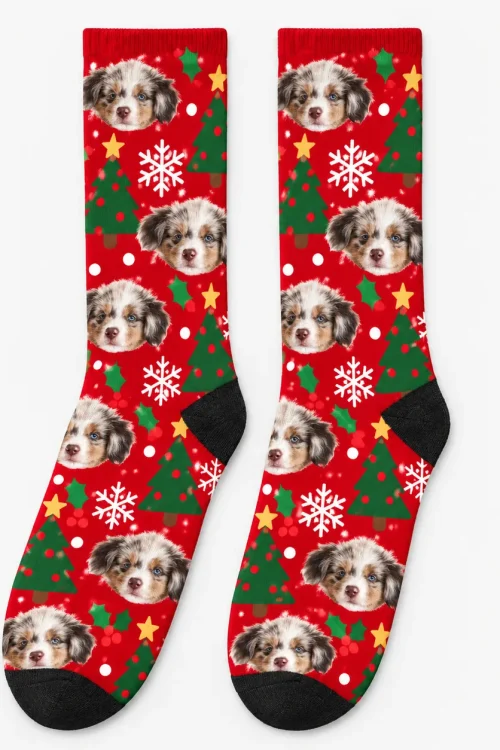 Pair of socks with dog face print: Australian shepherd puppy faces on red with Christmas trees