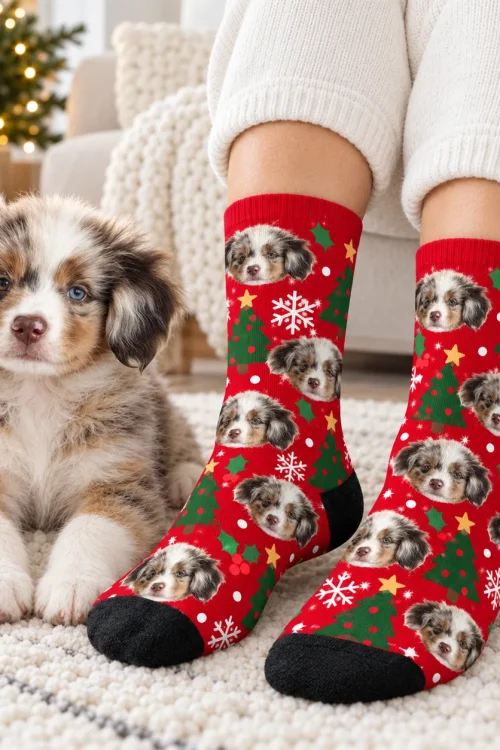 Australian shepherd puppy lying beside feet wearing socks printed with its face